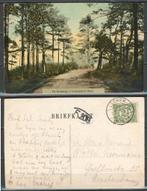 De Koesteeg Lochemsche Berg 1911 Lochem Ansichtkaart 994 jdu, Ophalen of Verzenden, Voor 1920, Gelopen, Overijssel