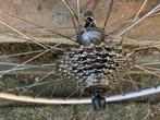 Achterwiel 28 inch 8 speed cassette, Fietsen en Brommers, Fietsonderdelen, Ophalen, Gebruikt, Algemeen, Wiel