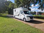 Renault Master Demo Anemone paardenwagen voor 2 paarden heng, Gebruikt, Overige typen