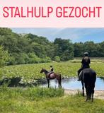 Stalhulp gezocht eemnes, Vacatures, Overige niveaus, Starter, Overige vormen