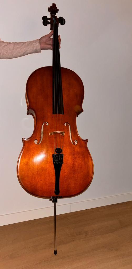 Cello (met strijkstok en kist), Muziek en Instrumenten, Strijkinstrumenten | Cello's, Gebruikt, Ophalen