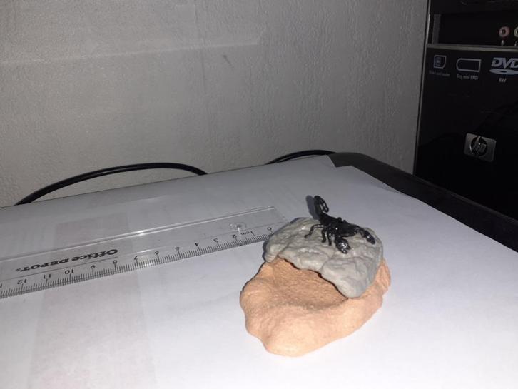 Schleich 42325 schorpioen in rotshol, Verzamelen, Dierenverzamelingen, Zo goed als nieuw, Beeldje of Figuurtje, Reptiel of Amfibie