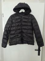 zwarte damesjas van het merk EDC, EDC, Zwart, Maat 56/58 (XL), Ophalen of Verzenden