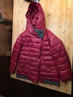 Donkerrode winterjas, Kleding | Dames, Ophalen of Verzenden, Zo goed als nieuw, Rood
