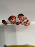 Vis nemo Barcino, Ophalen of Verzenden, Zo goed als nieuw, Dier