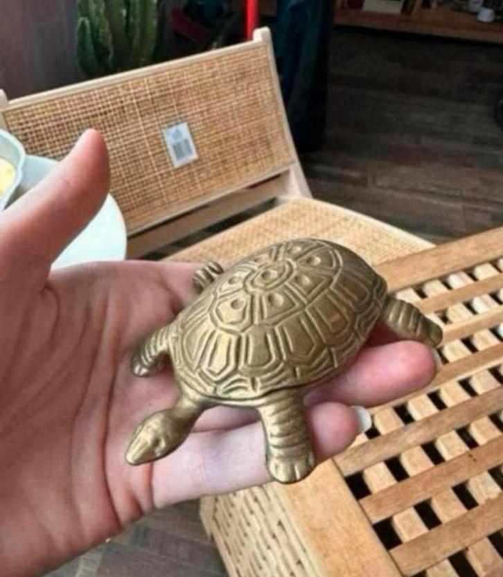 Messing schildpad met opbergruimte in het schild, Antiek en Kunst, Antiek | Koper en Brons, Ophalen of Verzenden