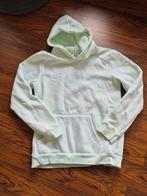 Zgan hoody sweater knolpower 158/164, Meisje, Trui of Vest, Knolpower, Ophalen of Verzenden