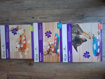 Brein spelletjes niveau 1 tm 3, zgan beschikbaar voor biedingen