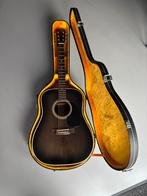 Unieke Lawsuit Takamine Gitaar EG330E met Koffer, Muziek en Instrumenten, Snaarinstrumenten | Gitaren | Akoestisch, Ophalen, Gebruikt