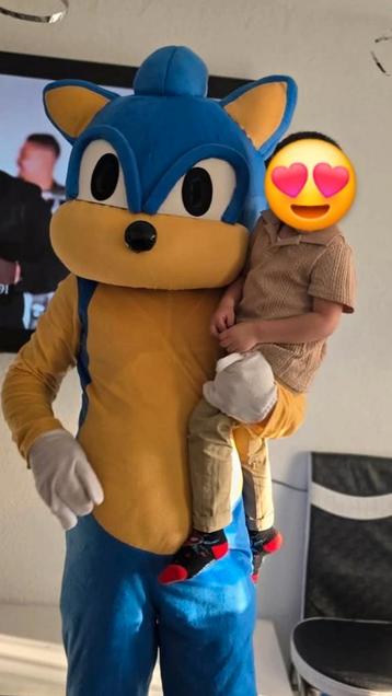 Sonic Mascotte Te Huur beschikbaar voor biedingen
