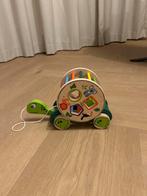 Schildpad Vormenstoof - Interactief Speelplezier!, Ophalen of Verzenden, Zo goed als nieuw, Overige typen, Met wieltjes