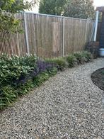 Gratis japanse split morena Grind Af Te Halen, Tuin en Terras, Grind, Keien en Split, Ophalen, Overige materialen, Gebruikt, Grind