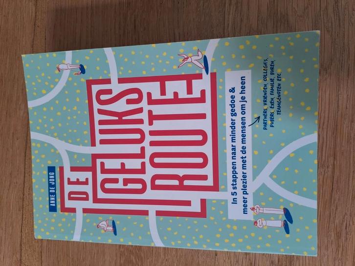 Anne de Jong - De geluksroute, Boeken, Psychologie, Zo goed als nieuw, Ontwikkelingspsychologie, Ophalen of Verzenden
