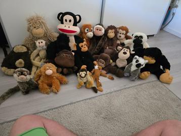 Apenknuffels beschikbaar voor biedingen
