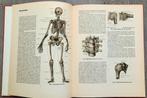 Anatomische atlas voor opleiding verplegenden en EHBO, Ophalen of Verzenden, Gelezen, Overige niveaus