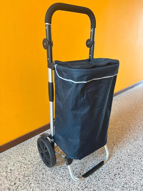 Boodschappentrolley met koelvak, Sieraden, Tassen en Uiterlijk, Tassen | Reistassen en Weekendtassen, Zo goed als nieuw, 30 cm of meer