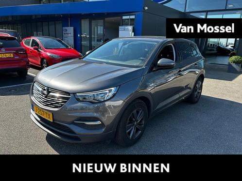Opel Grandland X 1.2 Turbo 120 Jaar Edition | Navi | Parkeer, Auto's, Opel, Bedrijf, Te koop, Grandland X, ABS, Airbags, Airconditioning