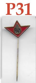 P31 speldje pam, Verzamelen, Speldjes, Pins en Buttons, Ophalen of Verzenden, Gebruikt, Overige onderwerpen