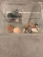 Klein vitrine kastje, Minder dan 50 cm, Nieuw, Ophalen of Verzenden, Minder dan 25 cm
