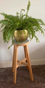 Hoge houten kruk / plantentafeltje, Huis en Inrichting, Woonaccessoires | Zuilen en Pilaren, Ophalen, Zo goed als nieuw