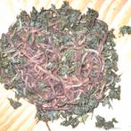 Wormen voor de compostbak, Ophalen