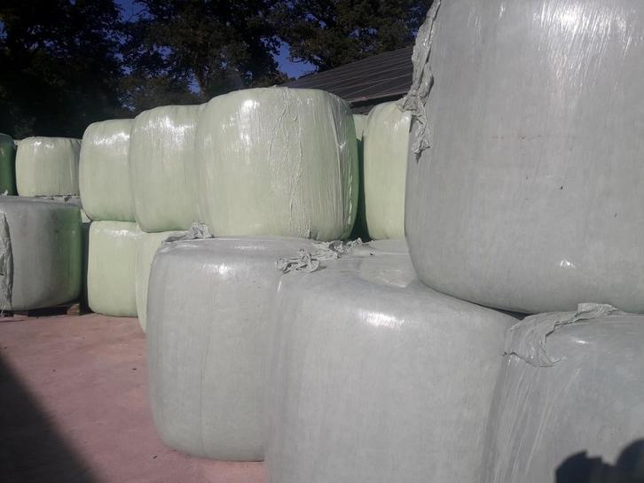 Balen: mais, gras, kuil, Dieren en Toebehoren, Dierenvoeding, Vee, Ophalen