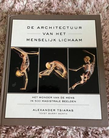 De architectuur van het menselijk lichaam - A. Tsiaras beschikbaar voor biedingen