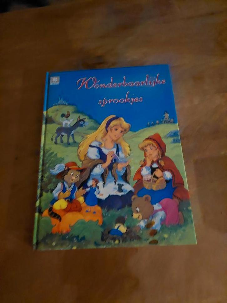 Wonderbaarlijke Sprookjes - Mooi geïllustreerd!, Boeken, Sprookjes en Fabels, Gelezen, Ophalen of Verzenden