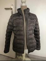 Lemieux winterjas! Maat L, Dieren en Toebehoren, Paardrijkleding, Overige soorten, Ophalen of Verzenden, Zo goed als nieuw, Dames