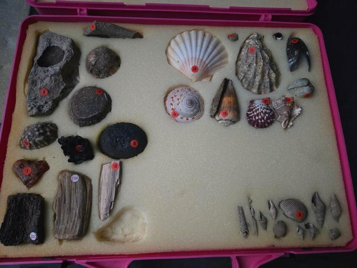 Mineralenverzameling, Verzamelen, Mineralen en Fossielen, Mineraal, Ophalen of Verzenden