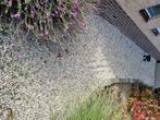 Gratis grind en klinkers, Tuin en Terras, Ophalen, Overige materialen, Gebruikt, Wit