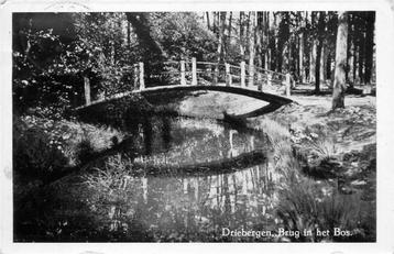 (388-373-041) Driebergen-Rijsenburg Brug in het Bos beschikbaar voor biedingen