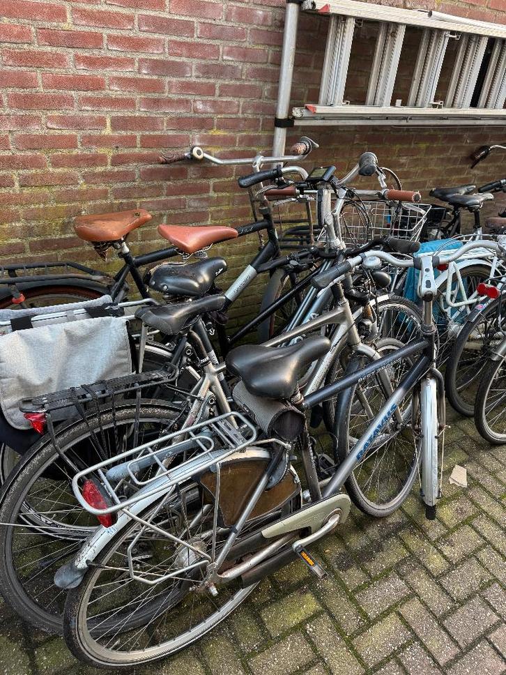 Partij fietsen 12 stuks, Fietsen en Brommers, Fietsen | Dames | Damesfietsen, Nieuw, Overige merken, Ophalen of Verzenden