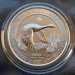 2025 Canada Goose 2 oz silver, Ophalen of Verzenden, Noord-Amerika, Losse munt, Zilver