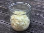 Melk kefir | rauwe Jersey melk (A2) | alleen verzenden | 50g, Diversen, Levensmiddelen, Verzenden