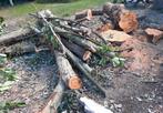 Haardhout, 3 tot 6 m³, Ophalen, Overige houtsoorten, Stammen