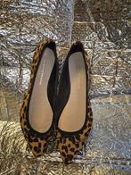 Rockabilly panterprint dansschoenen, Ophalen of Verzenden, Nieuw, Bruin, Sneakers of Gympen