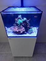 Aquarium Compleet(Red sea 170+Volledig rif+LED+Doseer pomp), Dieren en Toebehoren, Vissen | Aquaria en Toebehoren, Ophalen of Verzenden