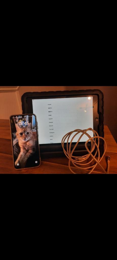 Ipad Air  IOS 12.7, Computers en Software, Apple iPads, Apple iPad Air, Wi-Fi, Grijs, Ophalen