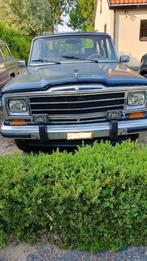 onderdelen Jeep AMC Wagoneer Sebring, Auto-onderdelen, Gebruikt, Jeep, Ophalen