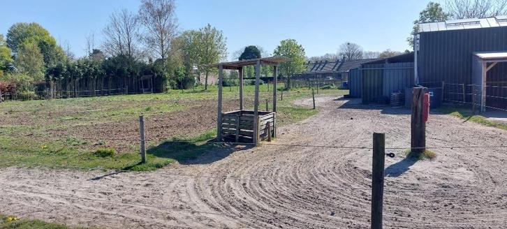Weideplek met schuilstal voor 1 pony (zelfbeheer), Dieren en Toebehoren, Stalling en Weidegang, Stalling, Weidegang, 1 paard of pony