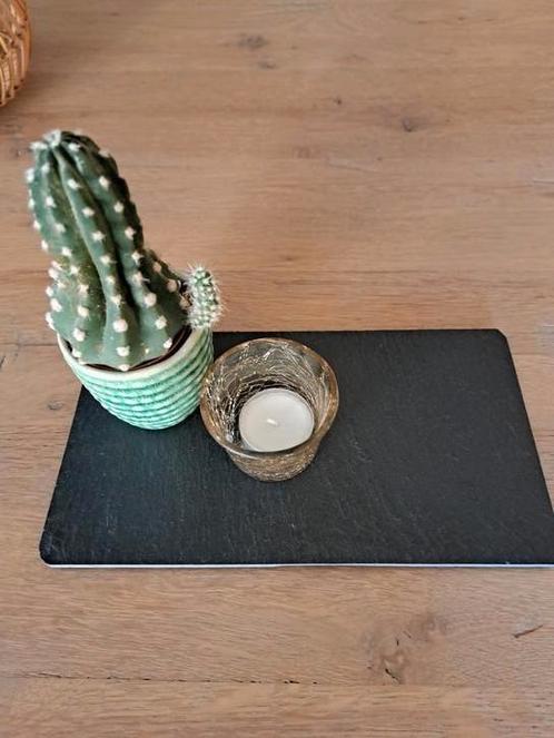 Leistenen onderzetter/kaars/kaasplateau 2514 cm NIEUW/€6,00, Huis en Inrichting, Woonaccessoires | Onderzetters, Nieuw, Overig