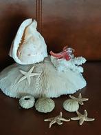 Zeer mooi zie foto 2 ..19.5cm breed, Ophalen