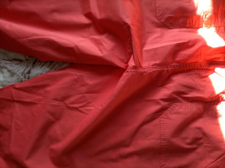 Oranje 3/4 broek.  Maat 58, Kleding | Dames, Grote Maten, Nieuw, Broek of Spijkerbroek, Oranje, Ophalen of Verzenden