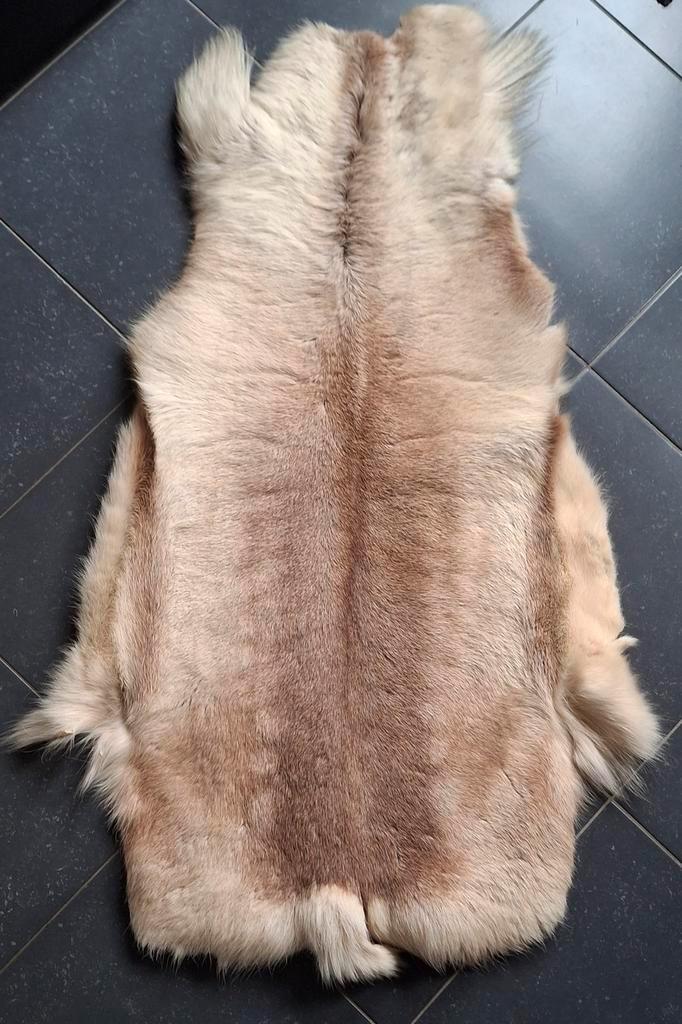 Rendiervacht Lapland, Huis en Inrichting, Woonaccessoires | Plaids en Woondekens, Gebruikt, Ophalen of Verzenden