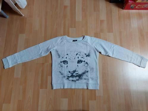 Trui *Panter*, Kinderen en Baby's, Kinderkleding | Maat 158, Gebruikt, Meisje, Trui of Vest, Ophalen of Verzenden