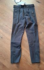 Nieuw kingsland rijbroek 34, Dieren en Toebehoren, Paardrijkleding, Kingsland. com, Nieuw, Kingsland, Dressuur