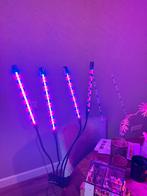 Kweek lamp, Ophalen of Verzenden, Zo goed als nieuw, Kweeklamp