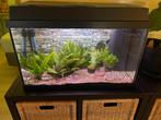 Aquarium, Dieren en Toebehoren, Vissen | Aquaria en Toebehoren, Ophalen, Gebruikt, Overige typen