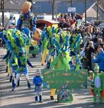 Loopgroep optocht papegaaien of brasil carnaval 1e prijs, Hobby en Vrije tijd, Feestartikelen, Ophalen